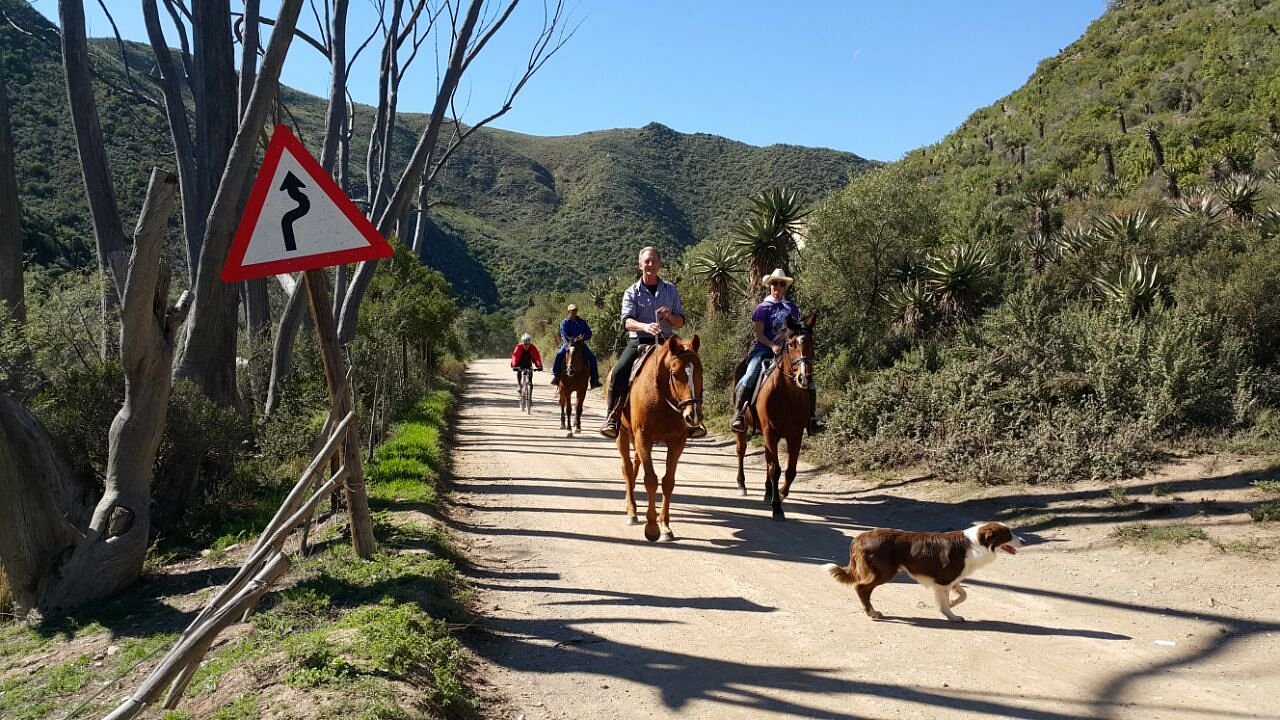 A scenic dirt road surrounded by trees and hills, with riders on horseback and a dog trotting along, under a clear blue sky.