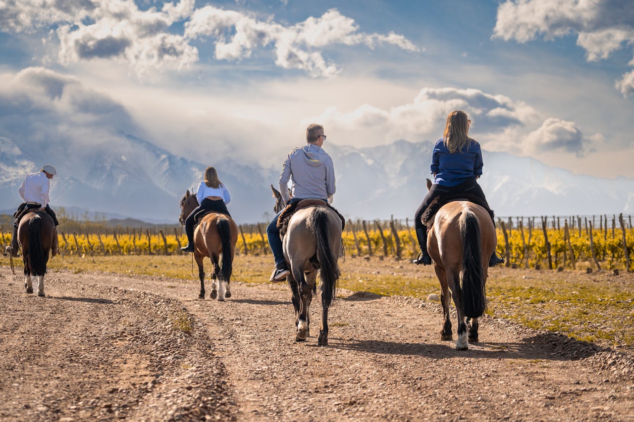 Group enjoying a horseback ride through a scenic vineyard with mountains in the background.